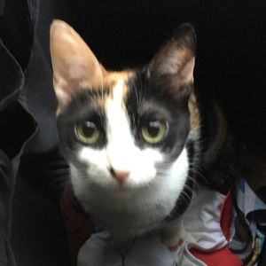 Meet your Posher, Kelli